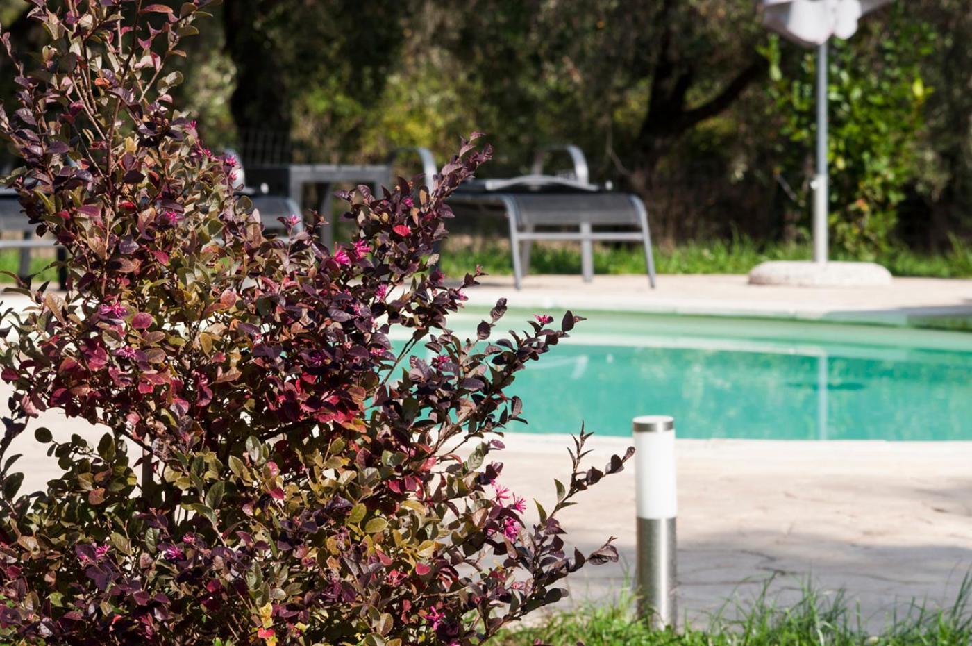 Agriturismo Tenuta Roccaccia Pitigliano Exterior photo